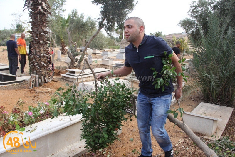 tasoooi3i1412 (12).JPG